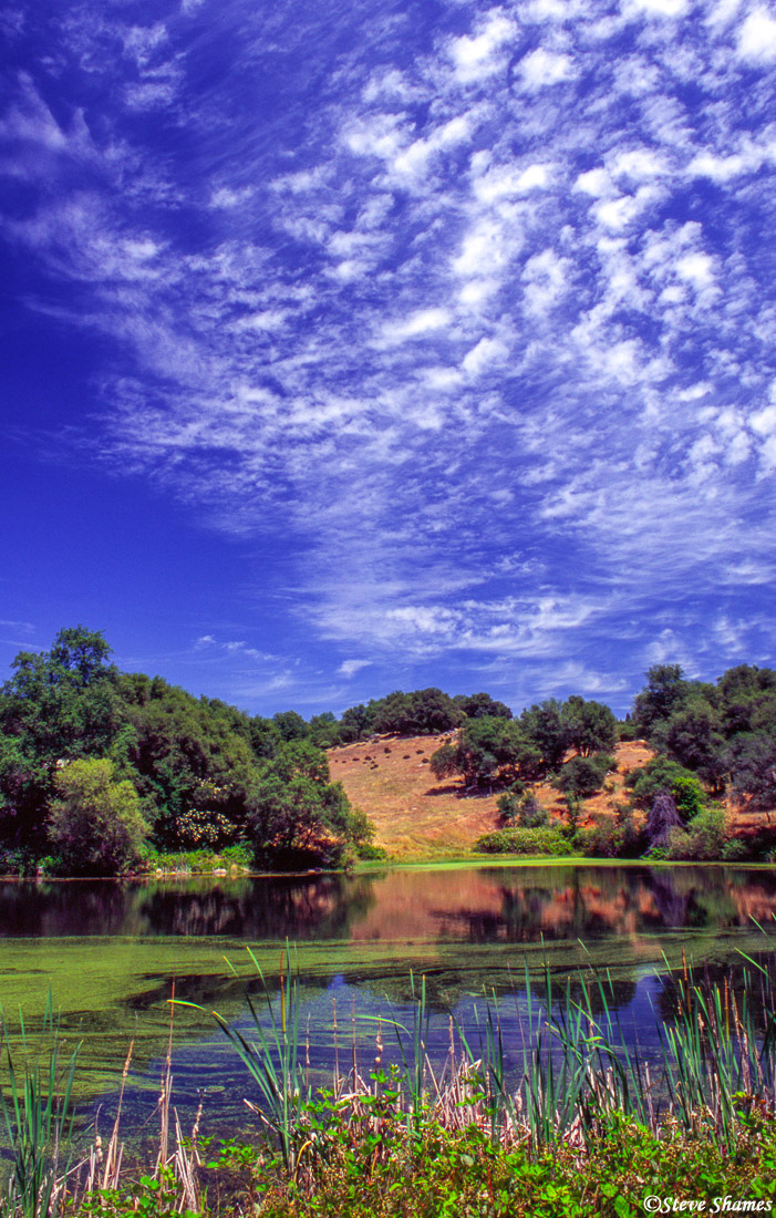 I like this country scene, with that fabulous sky.