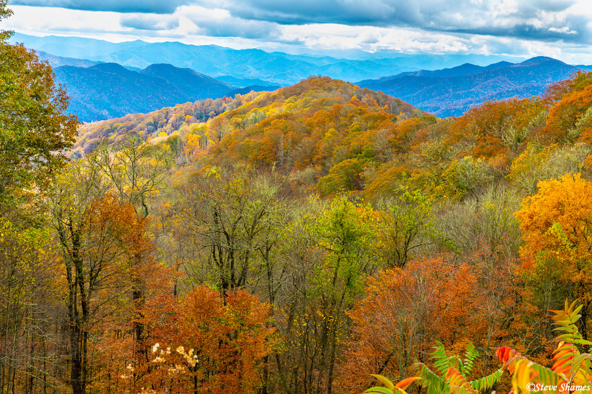 Beautiful fall colors on the North Carolina side of Great Smokey Mountains National Park.