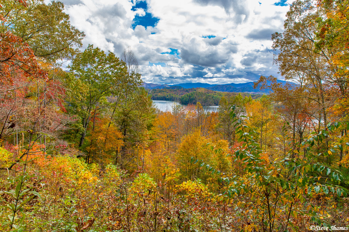 Fall colors at their peak in North Carolina.