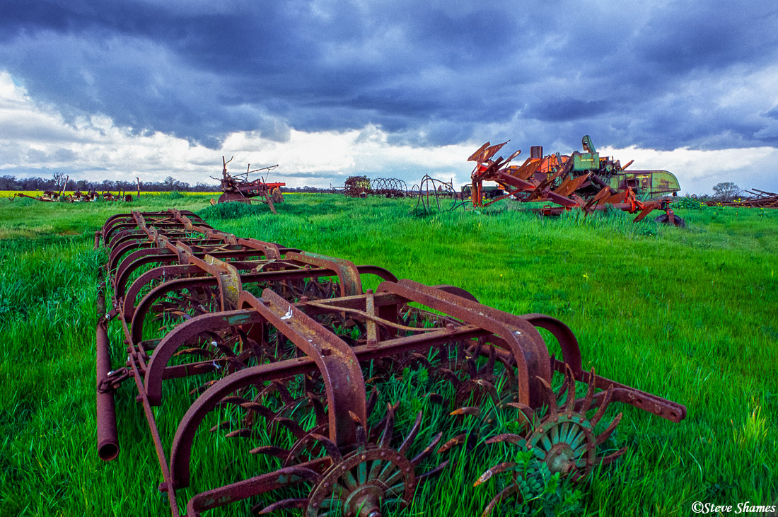 Under a stormy sky, old rusting farm equipment blending into nature.