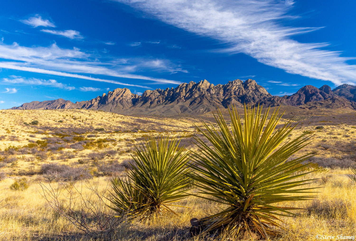 At the Organ Mountains - Desert Peaks National Monument just east of Las Cruces. Those prickly bushes really add to the scene...