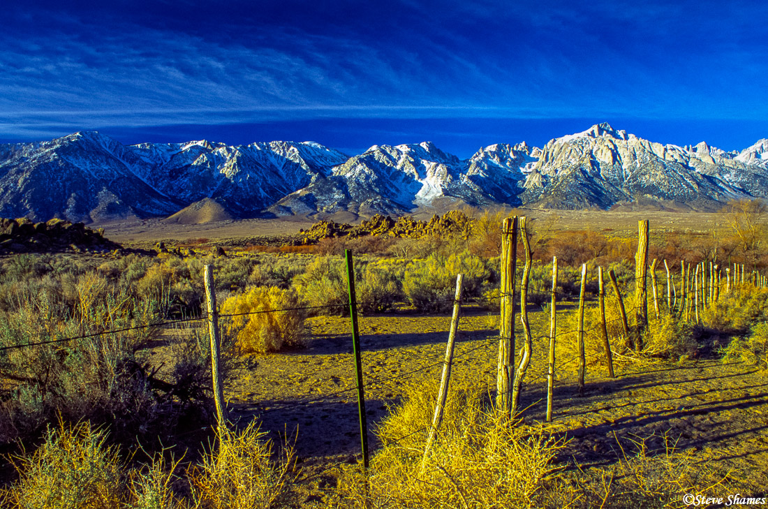A typical scene in the Owens Valley.