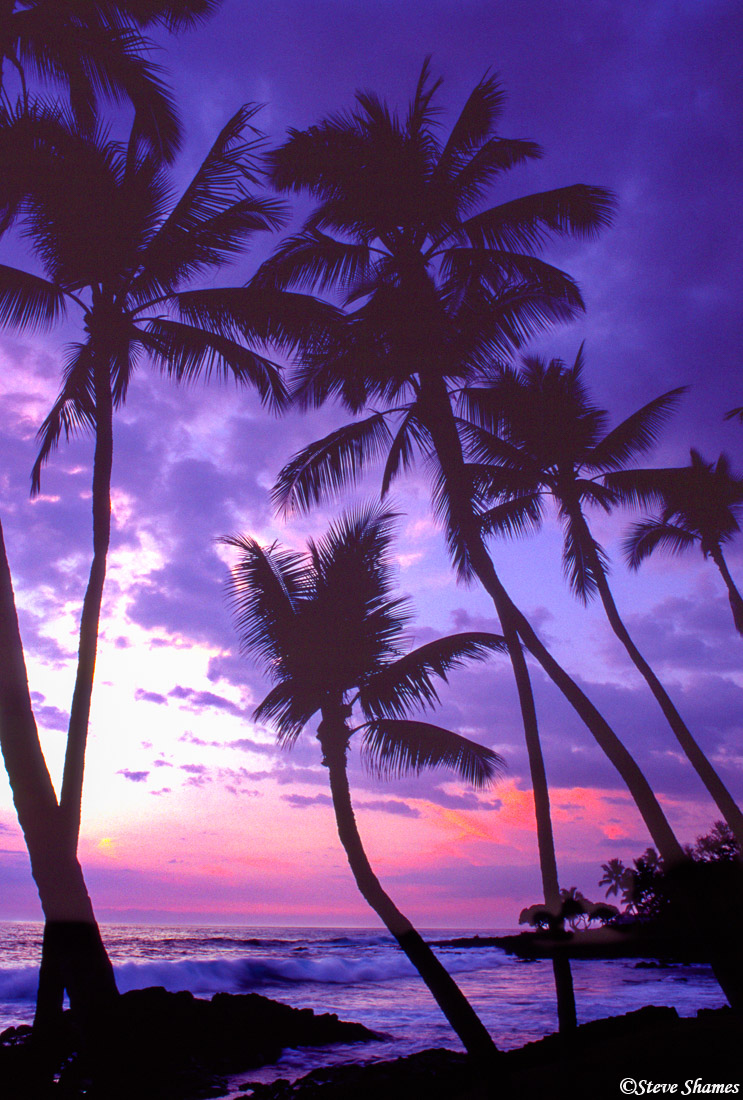 Palm trees on the drier Kona side of the island really add to the mellow sunset vistas.