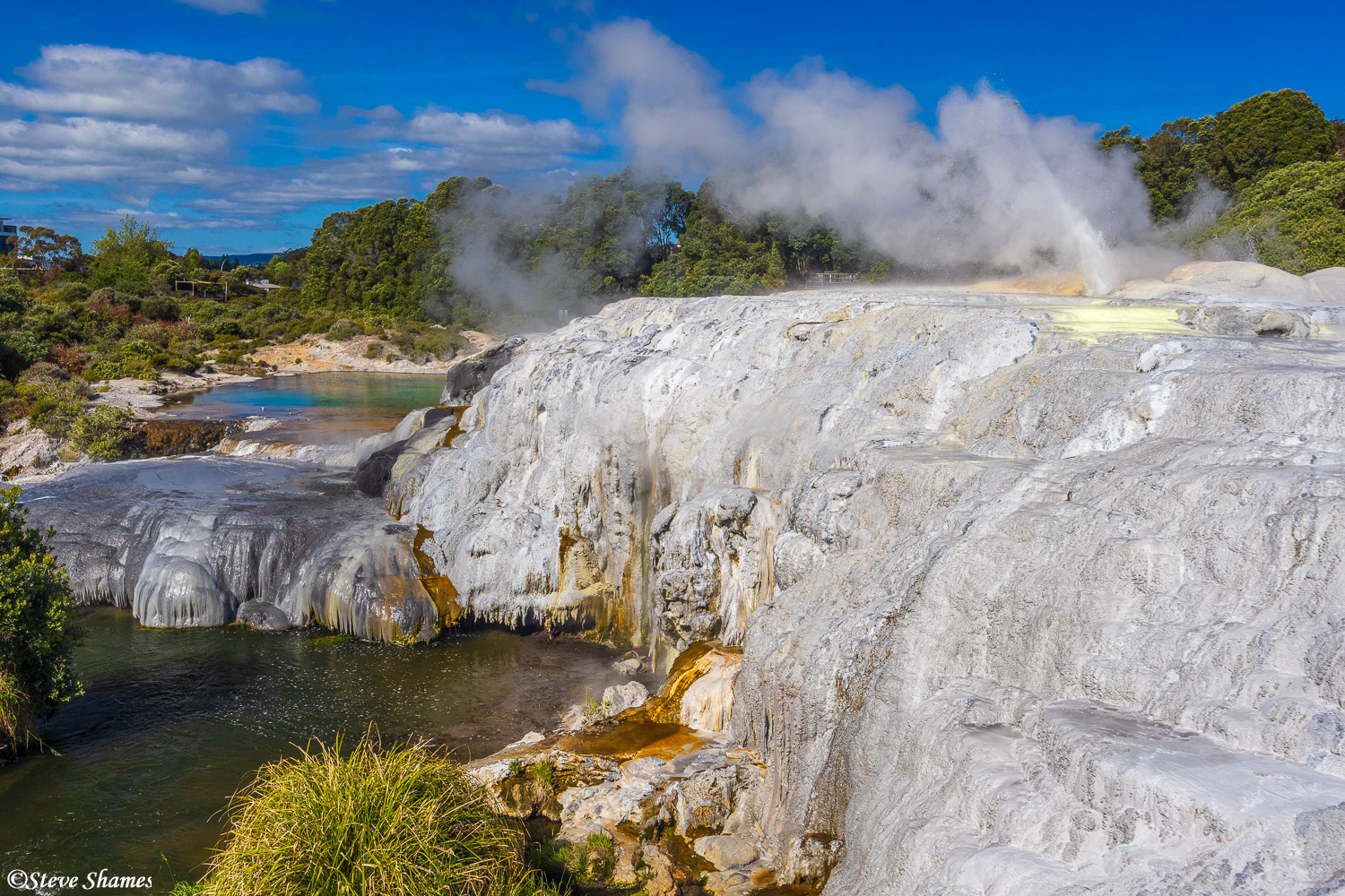 The Rotorua area has a number of thermal spots. Here is the Papakura Geyser.