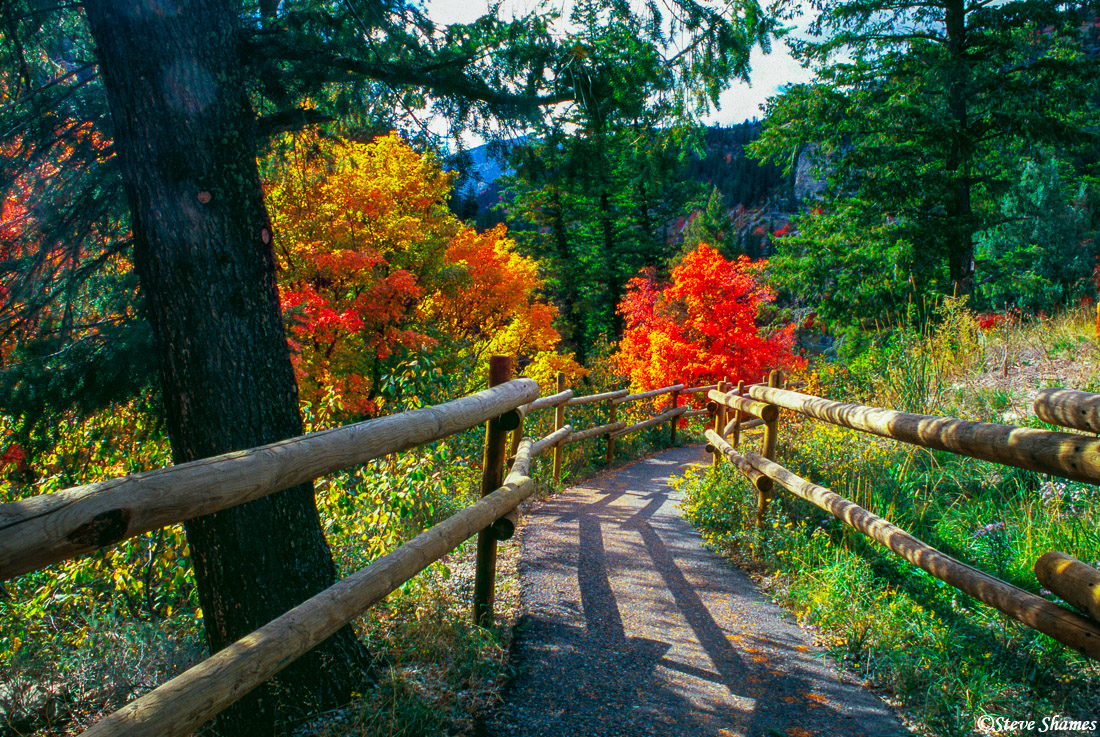 Walking path to the Snake River with fall colors.