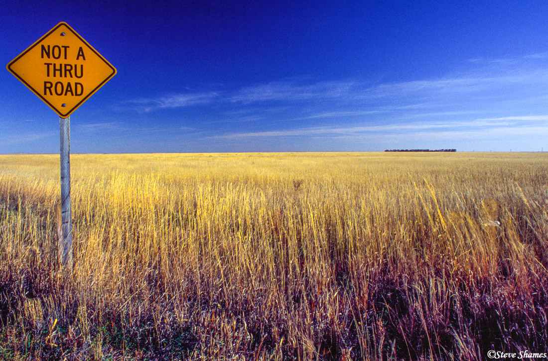 A scene at Pawnee National Grasslands.