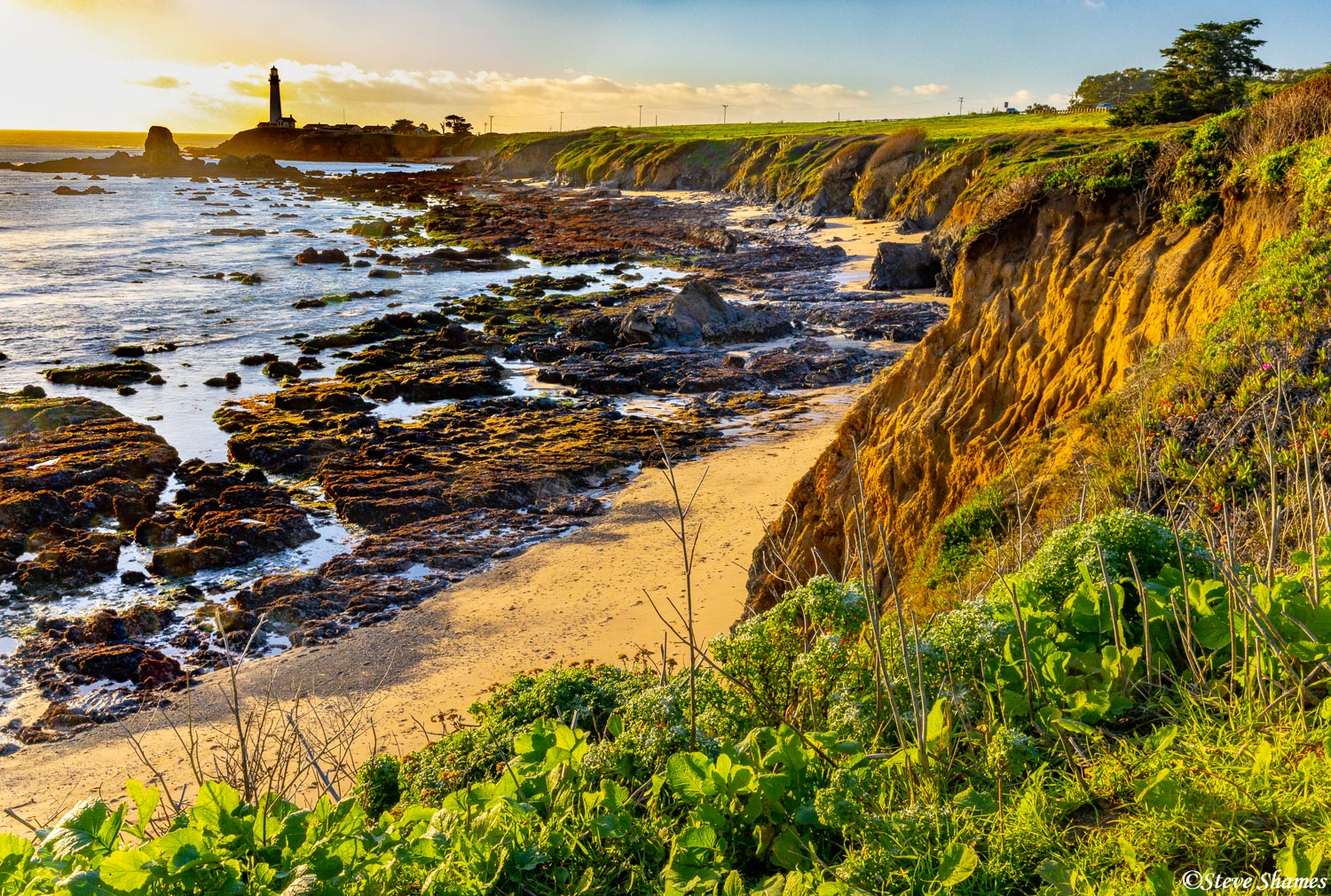 Here is Pigeon Point Lighthouse, overlooking the rocky coast.