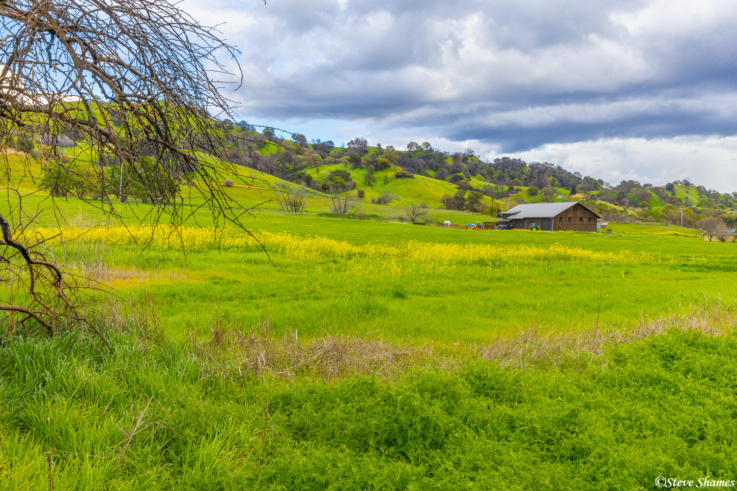 A pleasant spring scene along Pleasants Valley Road in Solano County.