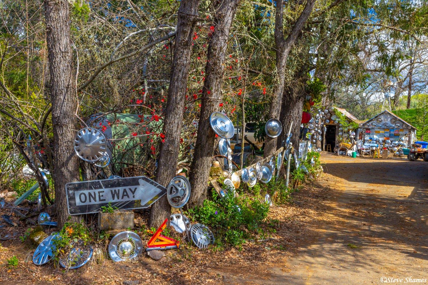 Along the driveway of the Hubcap Ranch in Pope Valley.