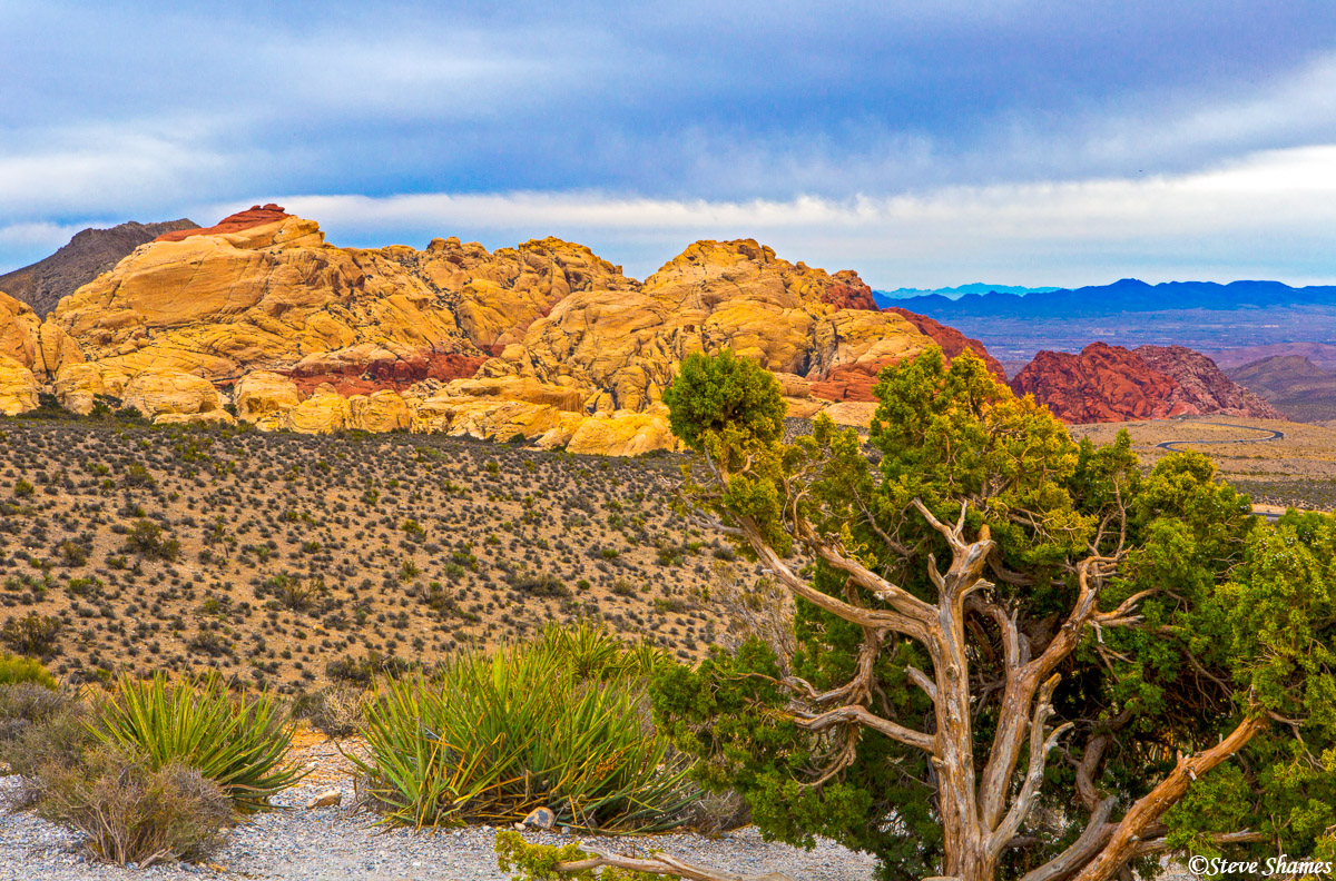 A great view at Red Rock Canyon.