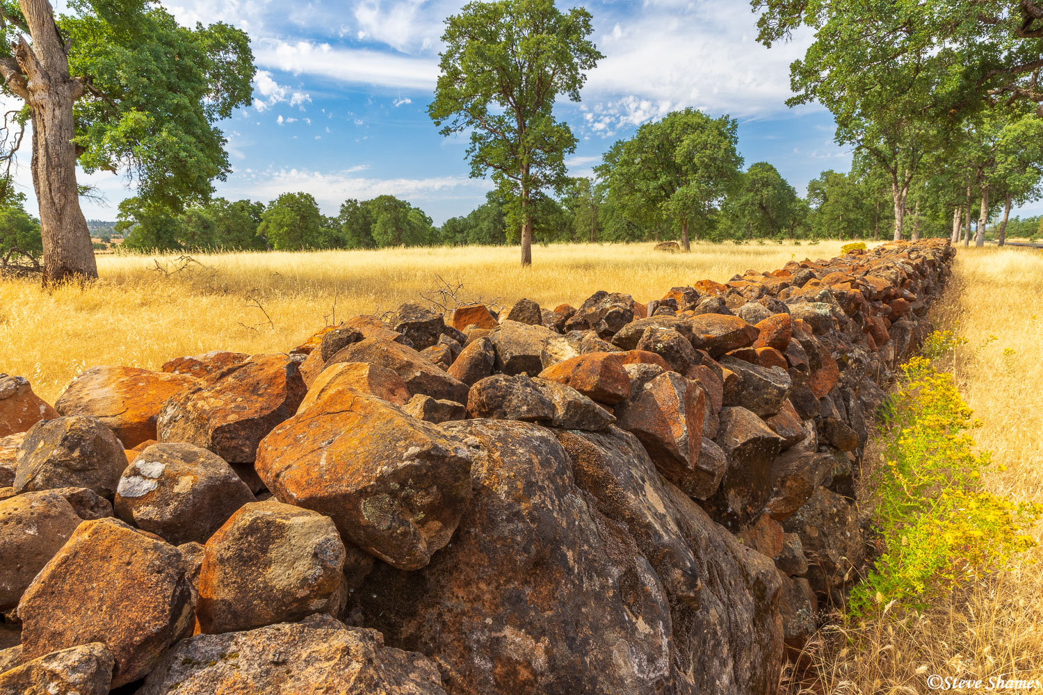 A great looking rock wall along a back road in Shasta County.
