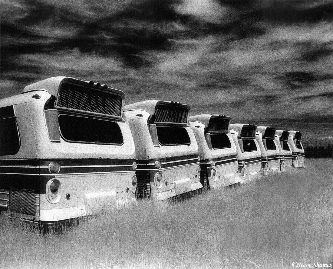A row of mothballed buses.