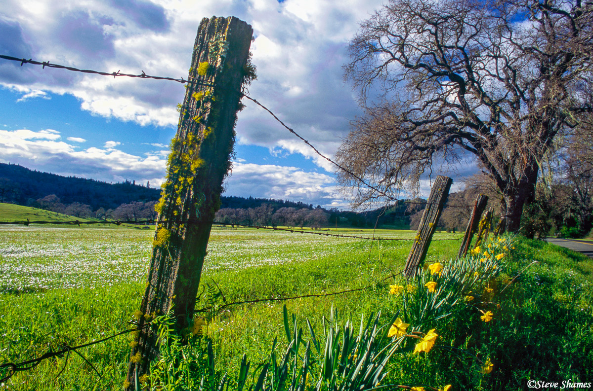 A charming fence on this country road.