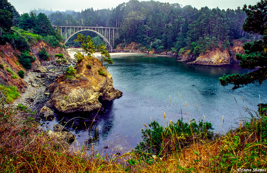 At Russian Gulch State Park, with the misty ocean air coming in.