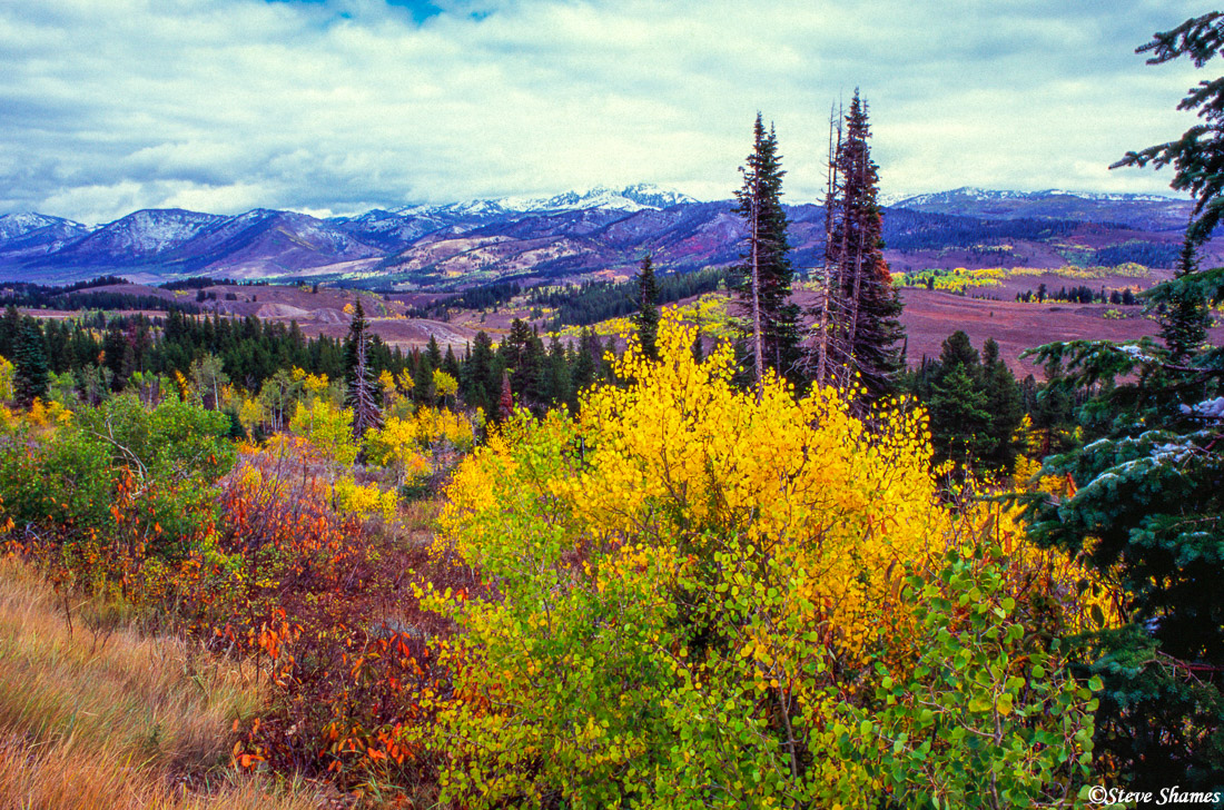 Salt River pass at 7610 foot elevation. And those distant snow covered mountains&nbsp;are the&nbsp;Salt River range.