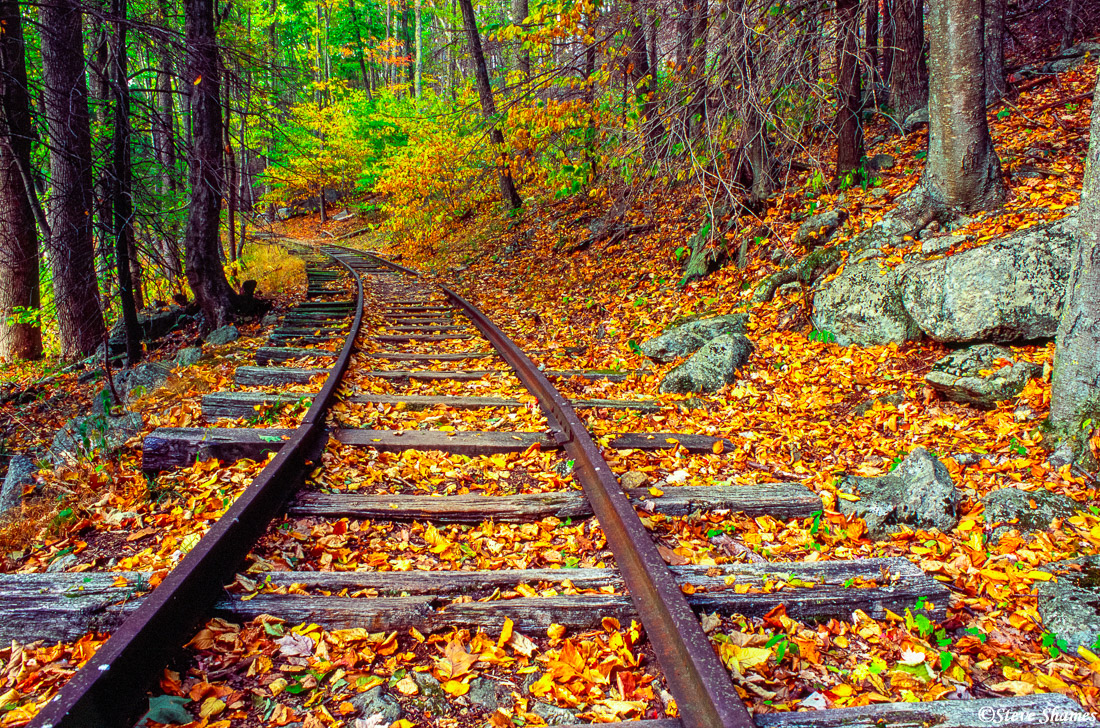 I don’t think these railroad tracks&nbsp;were in service anymore. The&nbsp;indirect even lighting is just perfect for bringing...