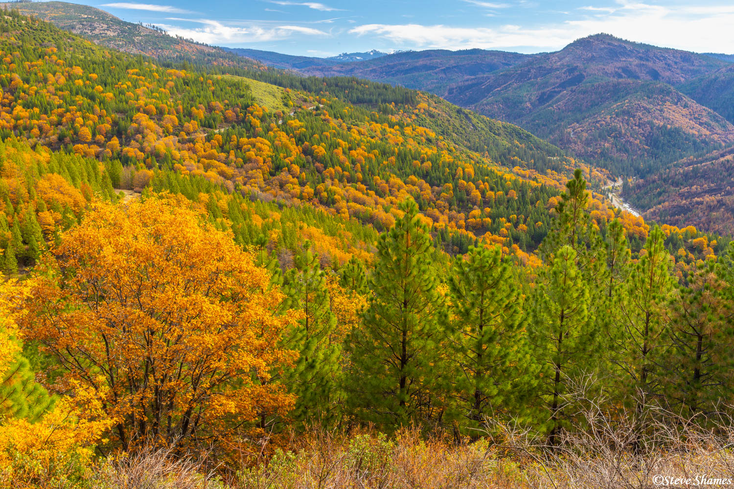 I thought this was a great fall scene in the Sierra foothills, along Ice House Road.