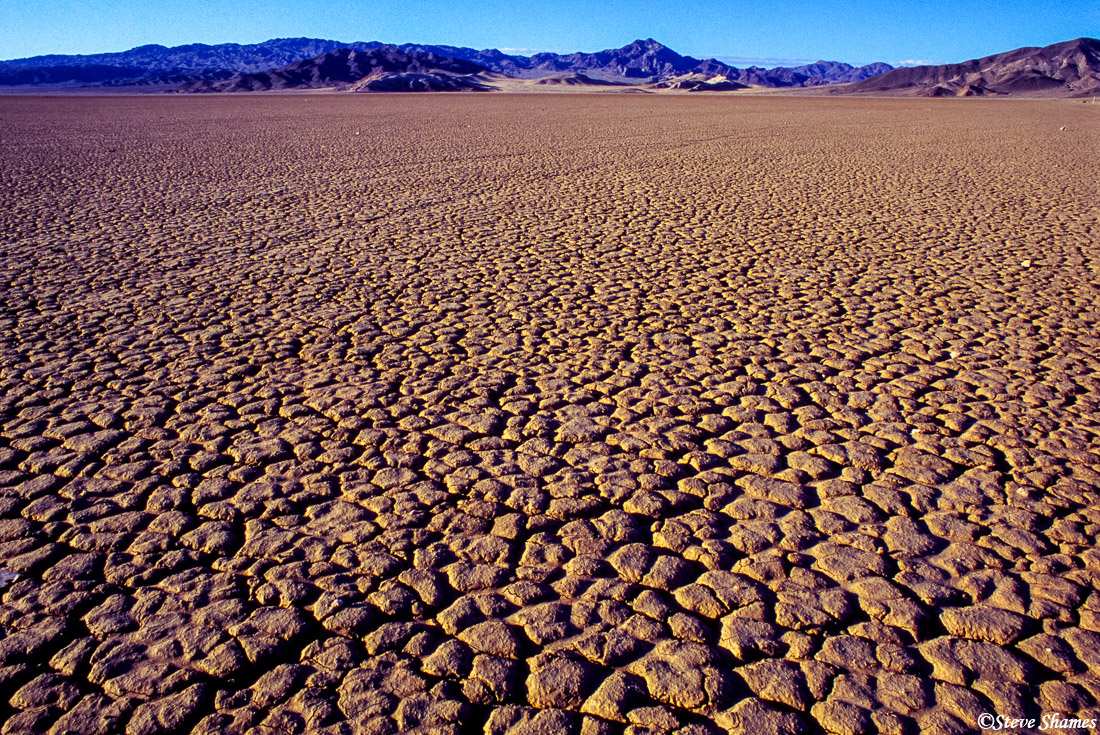 This was just south of Death Valley. I like the sectioned mud here. Sometimes desert "lakes" do not have water.