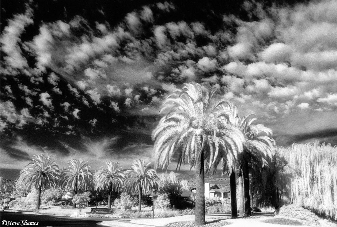 This is at Silverado Country Club in Napa, CA. The sky was quite impressive.