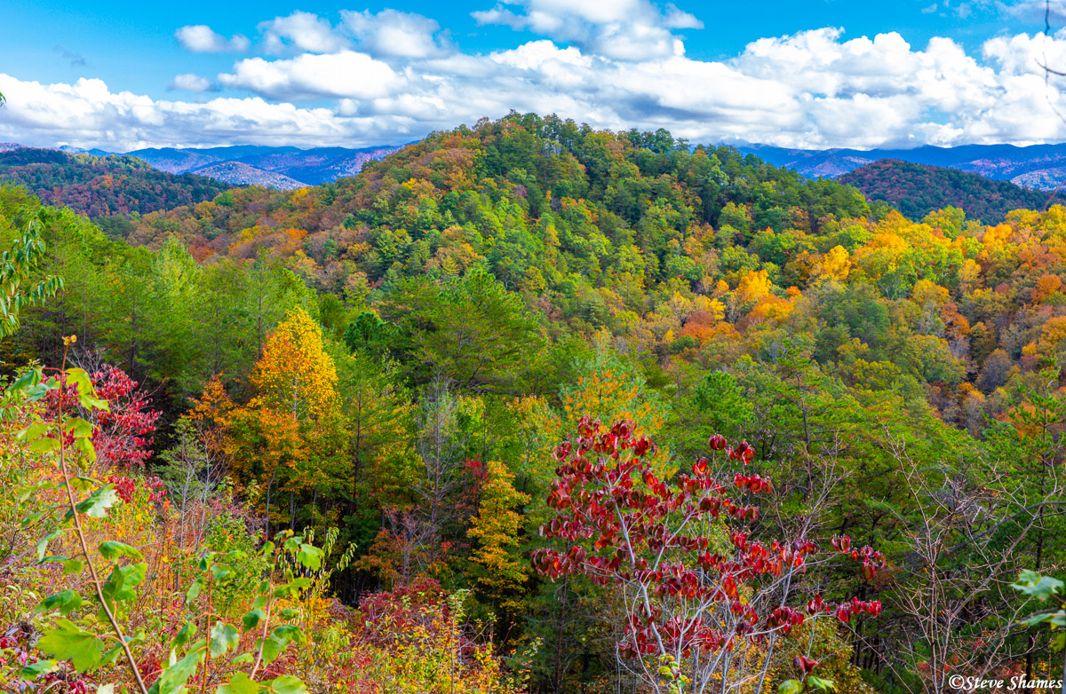 A particularly colorful spot in the Smokey Mountains.