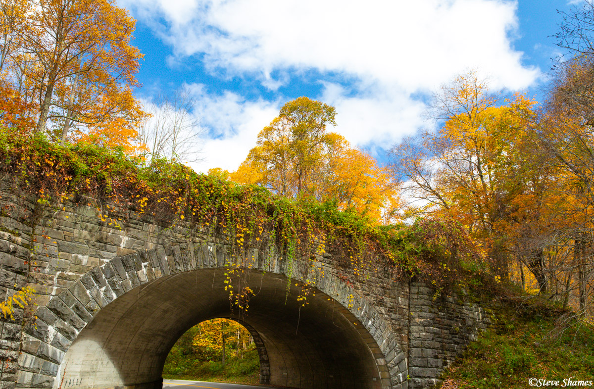 A very rustic car tunnel in the Smokey Mountains. I hope they do not trim this vegetation.