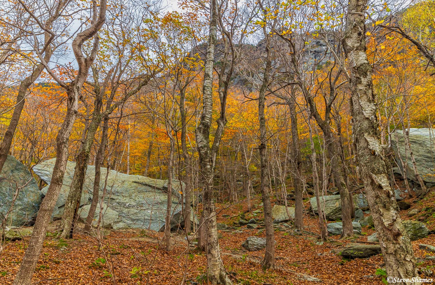 Fall colors scene going through Smugglers Notch in Vermont.