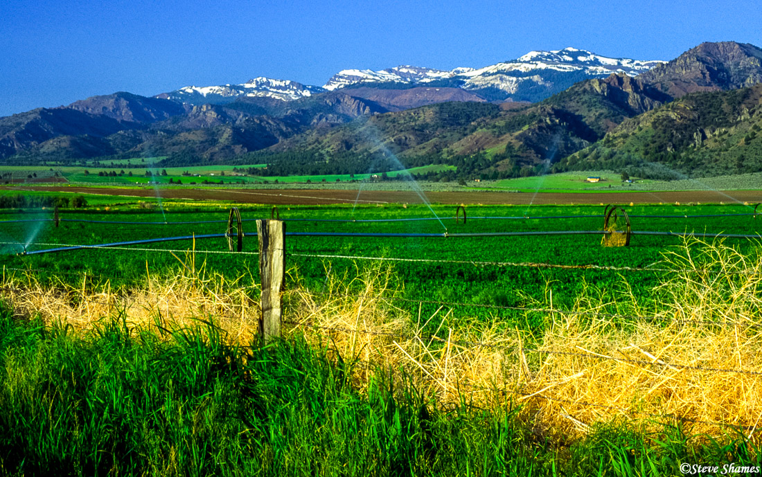 The dead grass, the sprinklers, the snow capped Warner Mountains - I thought it all made for a good scene.