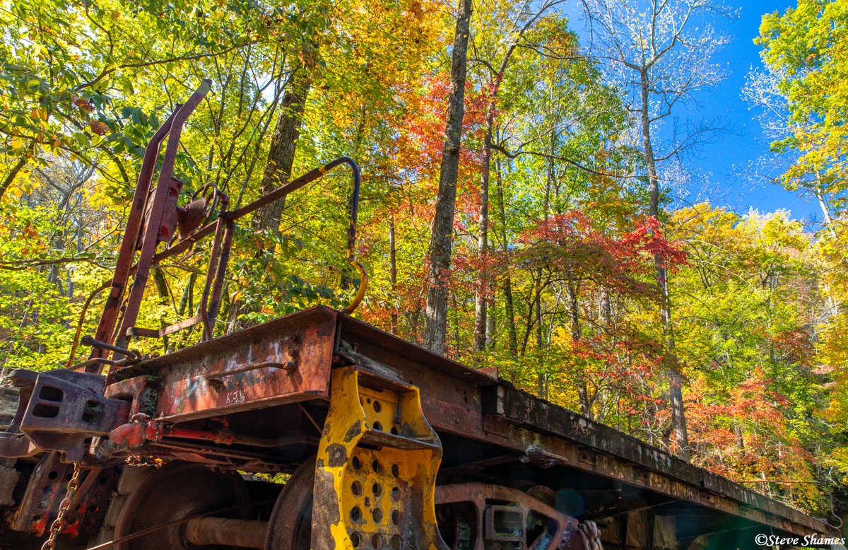 I found this interesting scene at the Stumphouse Tunnel state park in South Carolina. We have a train load of fall colors here...