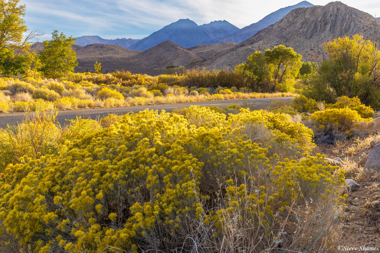 Just after sunrise on Sugar Loaf Road, outside of Big Pine.