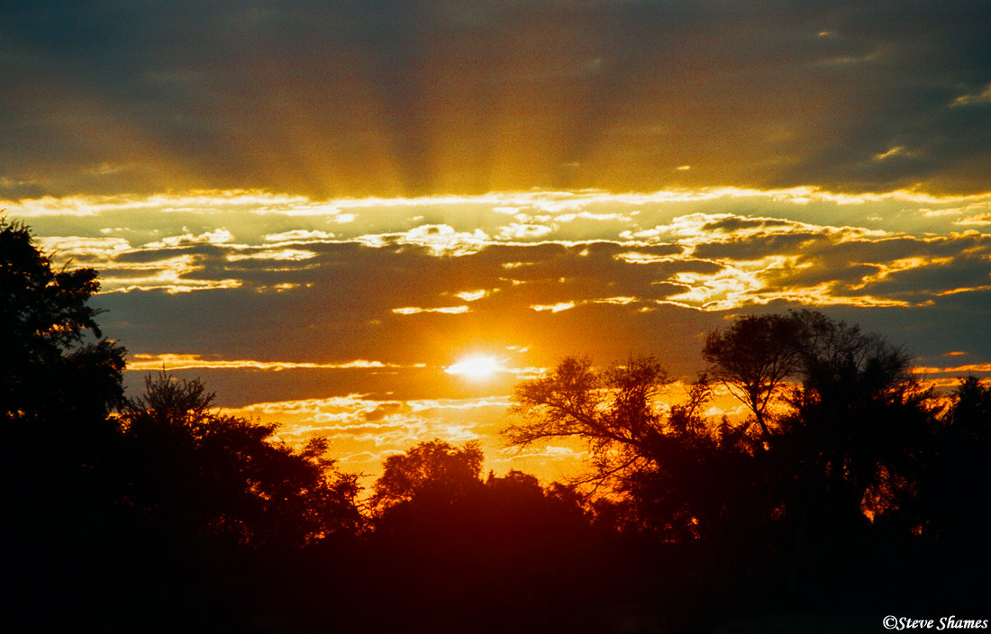 Sunset at Moremi Game Reserve in Botswana.