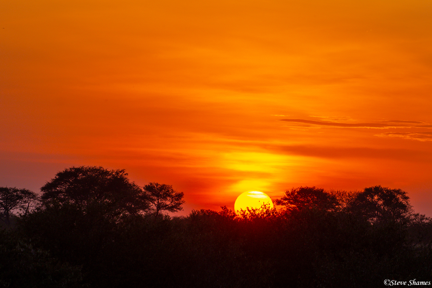 A very orange African sunset in Tanzania.