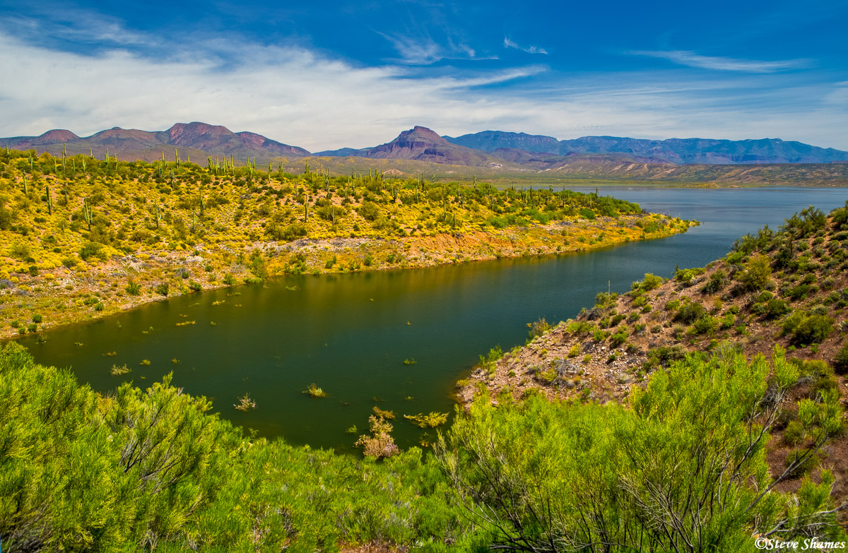 Theodore Roosevelt Lake, lined with flowers and cactus.