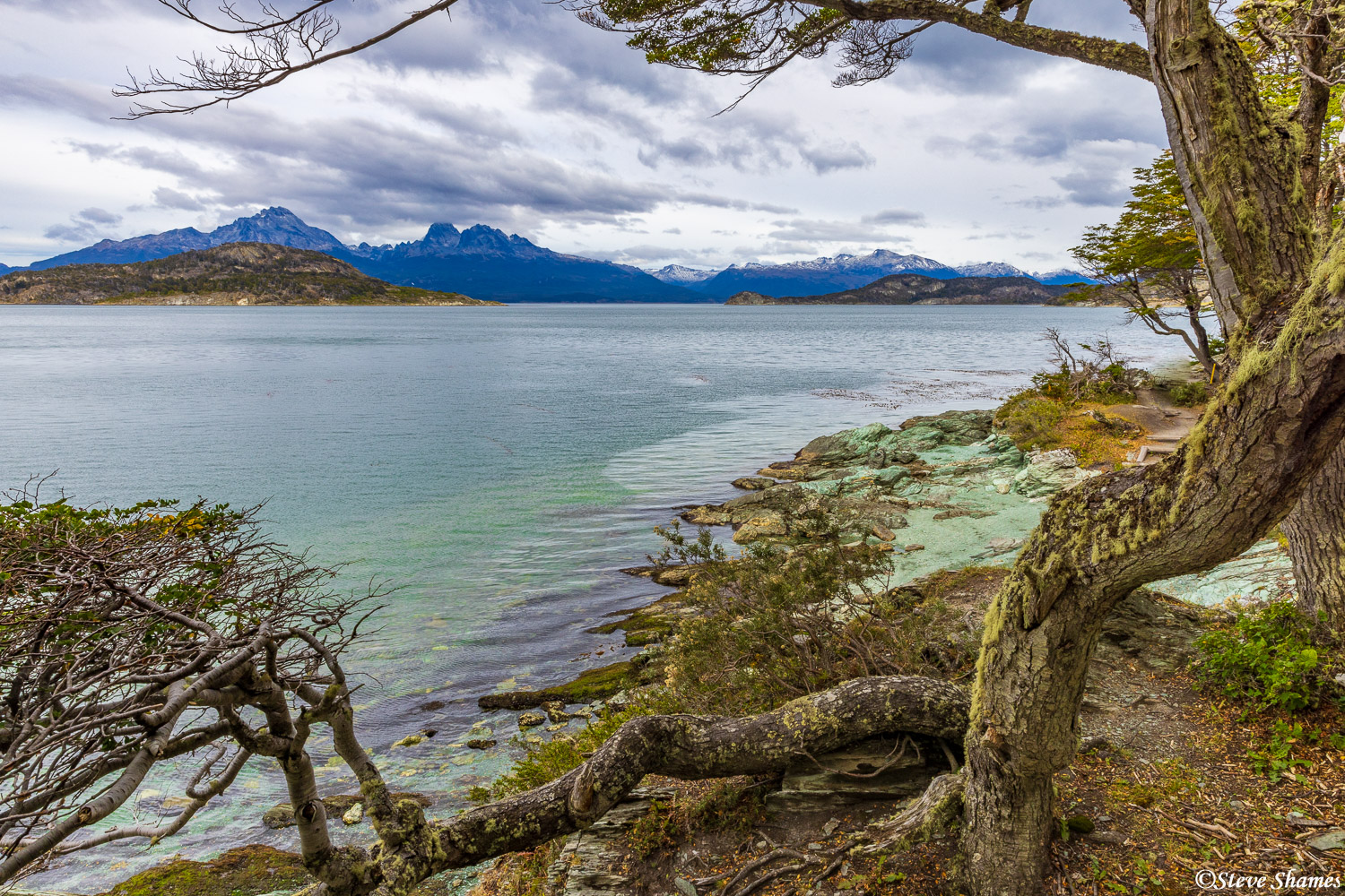 Looking across the Beagle Channel, at Tierra del Fuego National Park.
