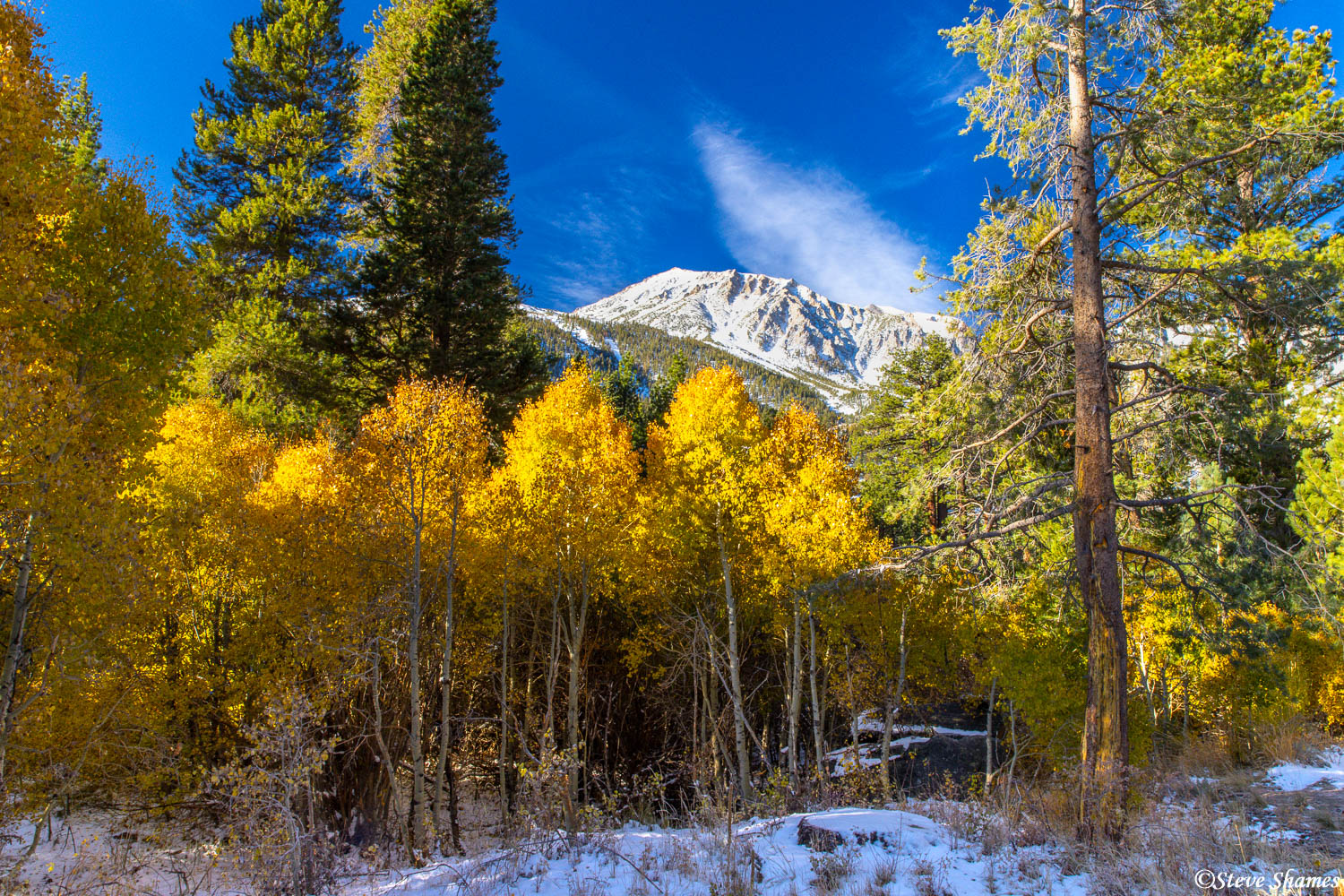 Another fall colors and mountains scene along the road to Tioga Pass.