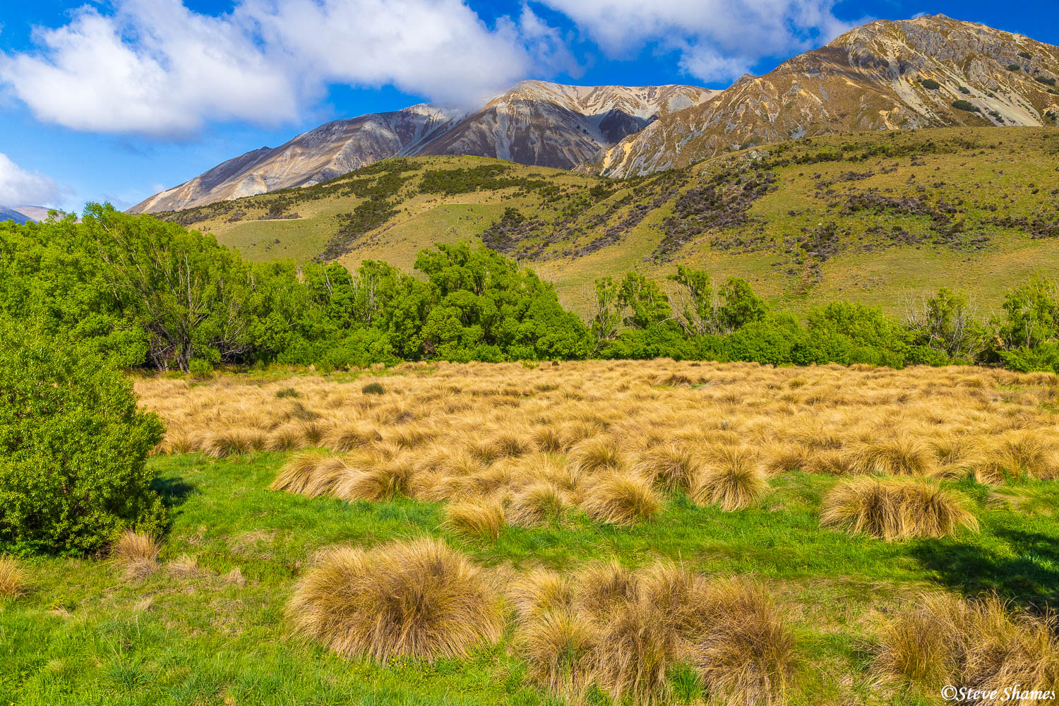 A view from the Tranzalpine Train heading over the mountains.