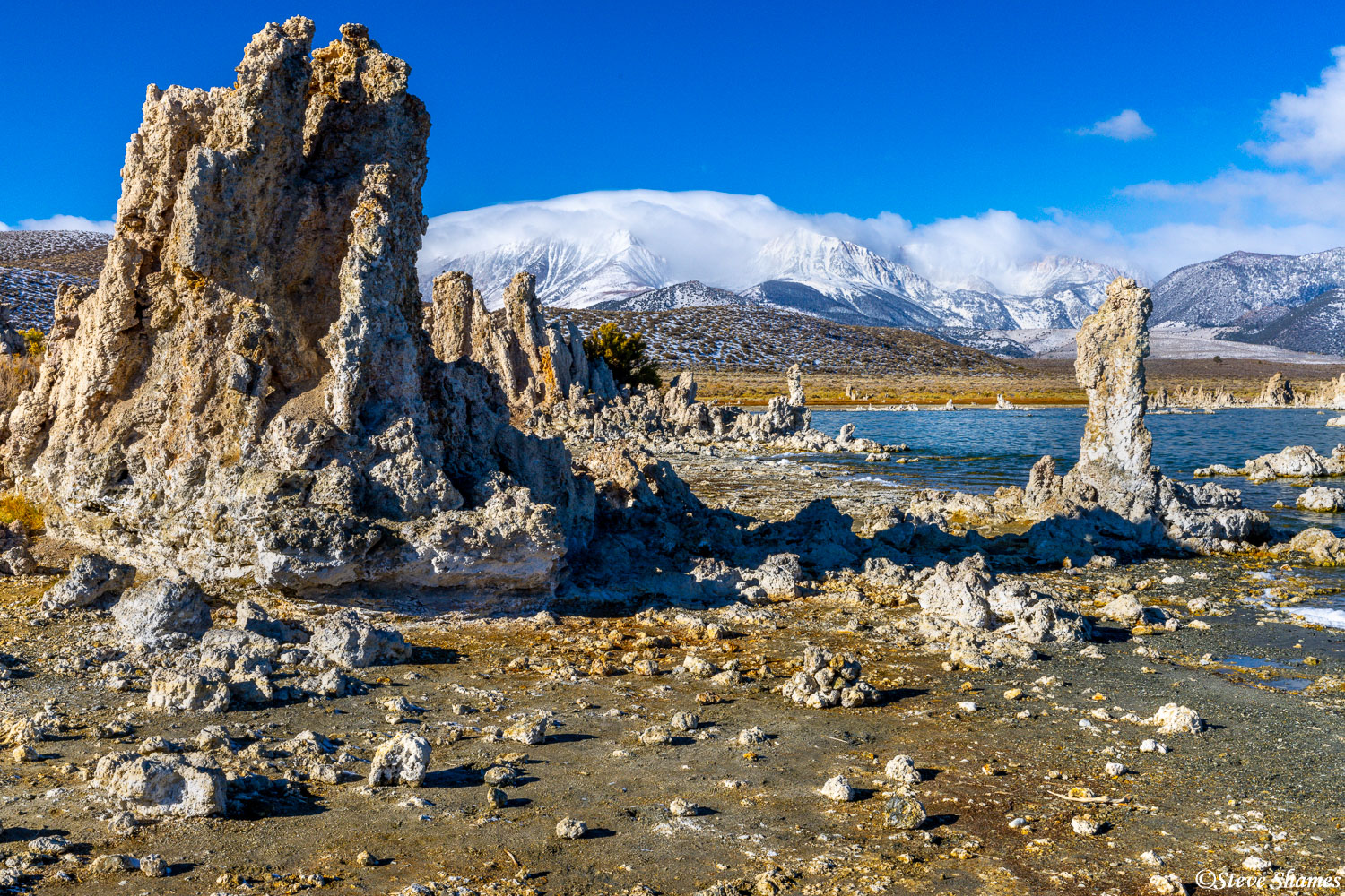 Mono Lake tufas, with the snow shrouded Sierra mountains in the distance.