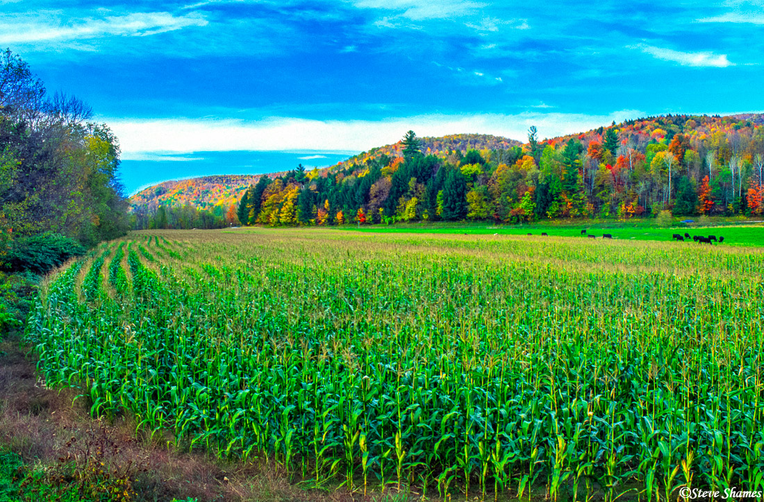 Here is a little slice of scenery in rural Vermont.