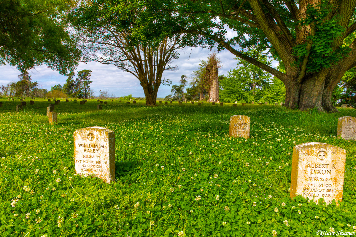 This shady field of clover at Vicksburg National Cemetery looked like a pleasant enough spot to spend eternity.