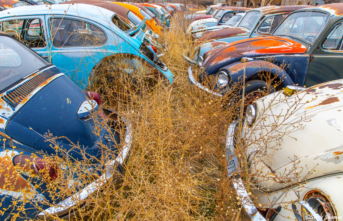 Volkswagen junkyard in Moab Utah. I was amazed by all the colors these little cars came in.