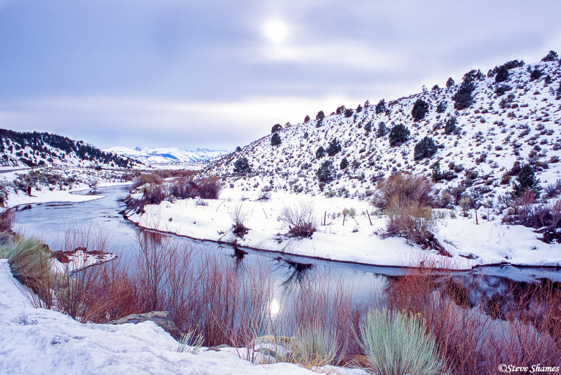 Here is the Walker River surrounded by&nbsp;a nice covering of fresh snow. This was right by the California border, just north...