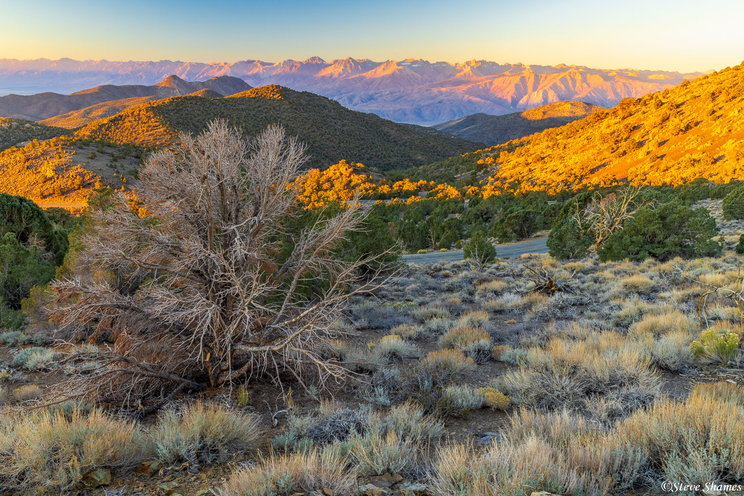 Sunrise on the road leading to the Bristlecone Pine forest. The purple mountains in the distance are the Sierras.