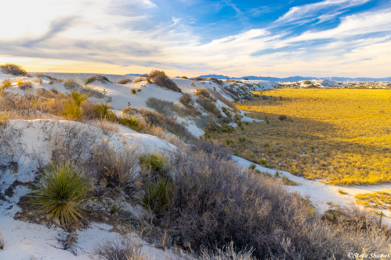 The "Dune Life" trail winds around these sand dunes.