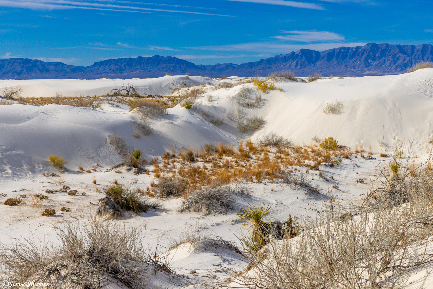 A typical scene at White Sands National Monument.