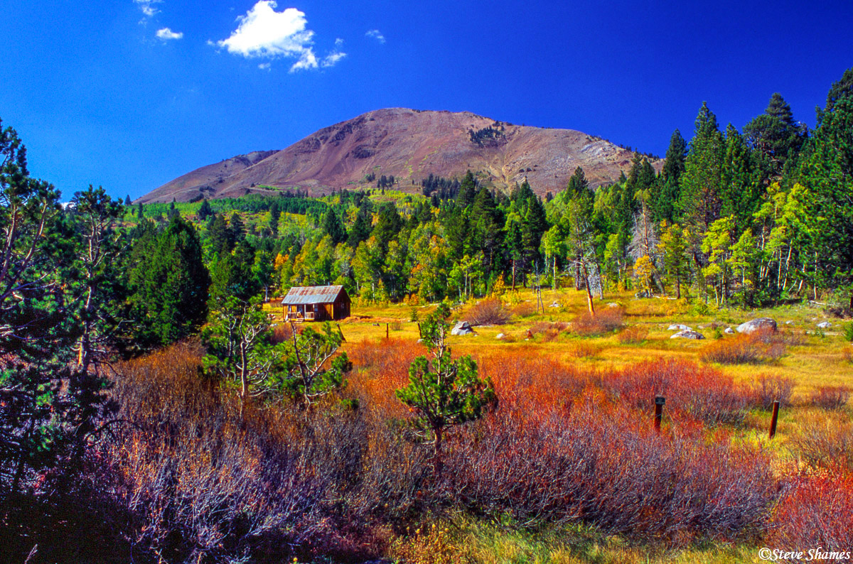 Fall colors happening in the little spot of Woodfords, along the Carson Pass Highway.
