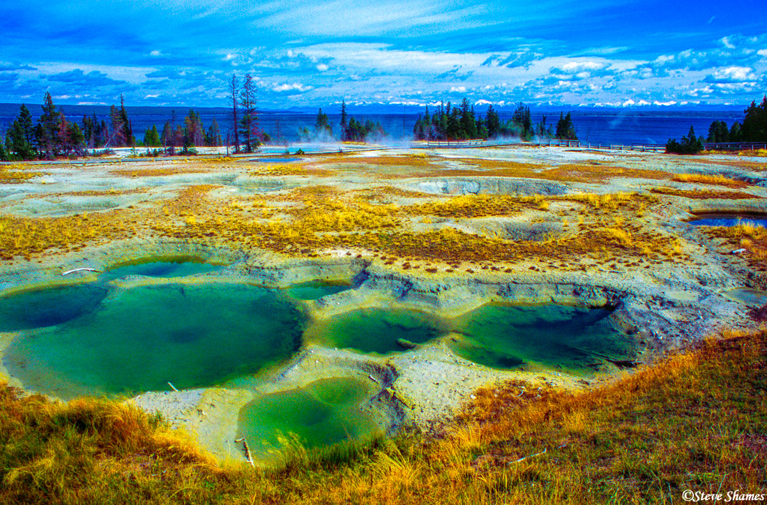 Colorful thermal springs in Yellowstone.