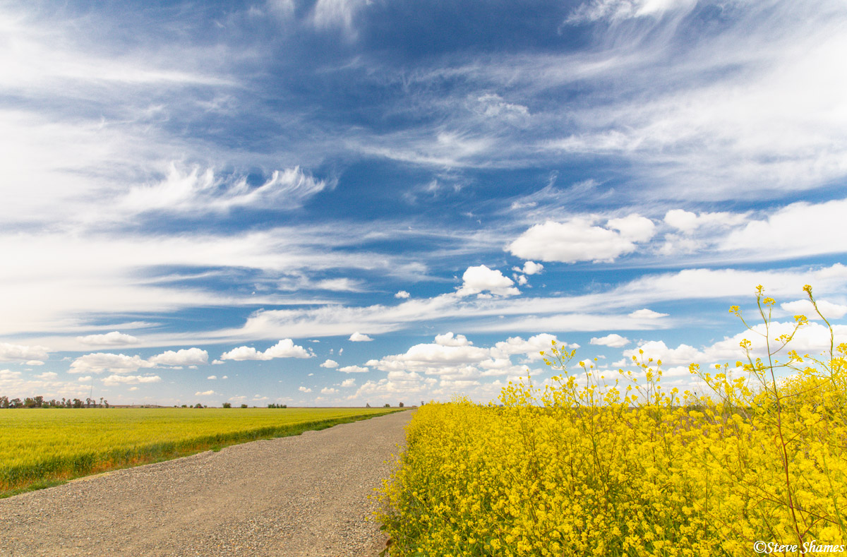 I call this a "big sky". With the color on the ground, and the great skies, springtime is by far my favorite time in this area...