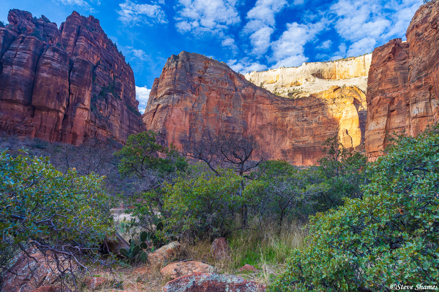 Here is what Zion National Park is famous for -- those steep tall red rock canyon walls.